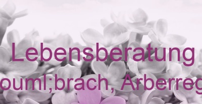 Lebensberatung Böbrach, Arberregion | Top-Experten für Kartenlegen, Wahrsagen, Hellsehen, Zukunftsdeutung.